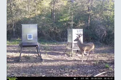 Tbd Upper Legget Road N, Livingston, TX 77351 - Photo 10