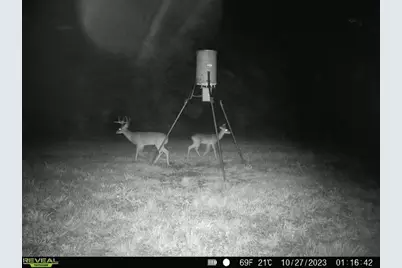 Tbd Upper Legget Road N, Livingston, TX 77351 - Photo 6