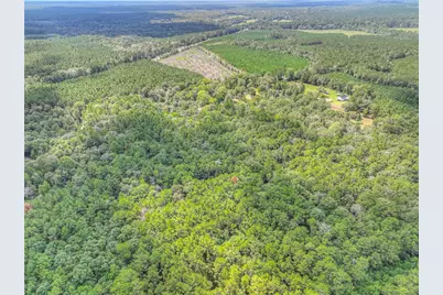 446 County Road 3550, Woodville, TX 75979 - Photo 42