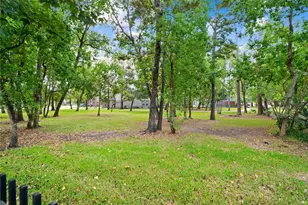 15507 Marble Canyon Way, Houston, TX 77044 - Photo 30