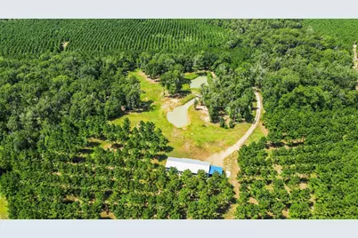 1383 Tram Road, Livingston, TX 77351 - Photo 44