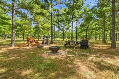 1383 Tram Road, Livingston, TX 77351 - Photo 32