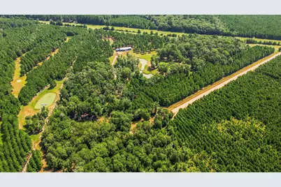 1383 Tram Road, Livingston, TX 77351 - Photo 46
