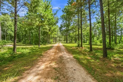 1383 Tram Road, Livingston, TX 77351 - Photo 42