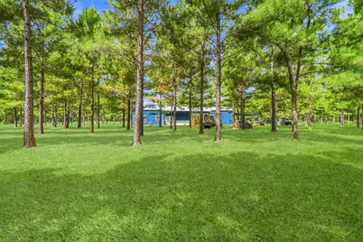 1383 Tram Road, Livingston, TX 77351 - Photo 34