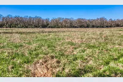 9044 Fm 1428, Midway, TX 75852 - Photo 12