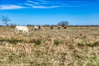 9044 Fm 1428, Midway, TX 75852 - Photo 10