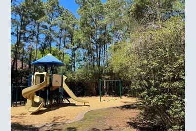 66 Fulshear Court, The Woodlands, TX 77382 - Photo 28