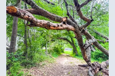 Tbd County Road 891, Jewett, TX 75846 - Photo 8