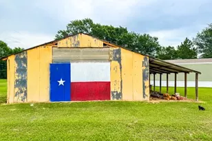 Tbd County Road 891, Jewett, TX 75846 - Photo 4