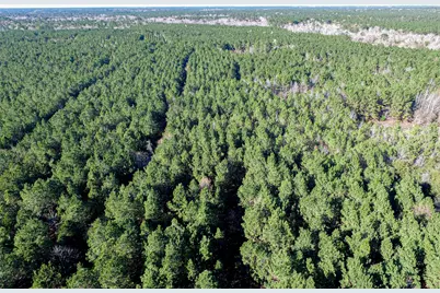 723 Mike Road, Livingston, TX 77351 - Photo 18