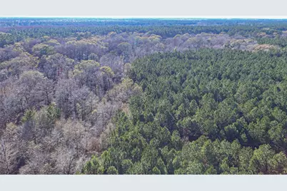 723 Mike Road, Livingston, TX 77351 - Photo 4