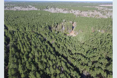 723 Mike Road, Livingston, TX 77351 - Photo 20