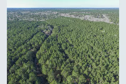 723 Mike Road, Livingston, TX 77351 - Photo 22