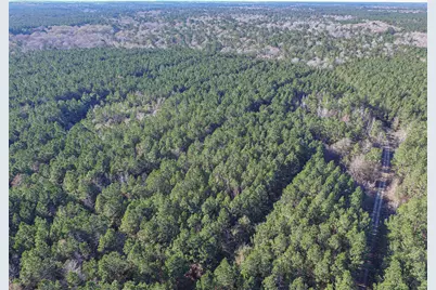 723 Mike Road, Livingston, TX 77351 - Photo 24