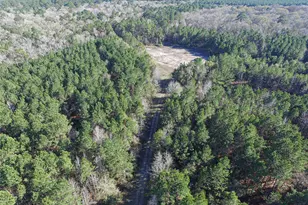 723 Mike Rd, Livingston, TX 77351 - Photo 1