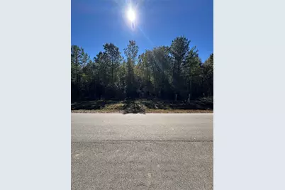 2071 Rd 66117, Dayton, TX 77535 - Photo 4