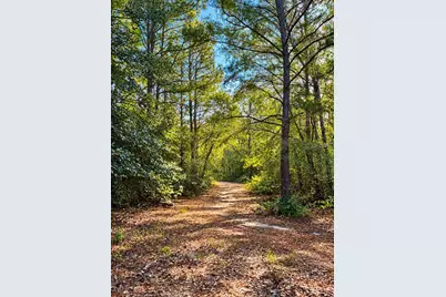 15633 Rustling Oak Lane, Plantersville, TX 77363 - Photo 12