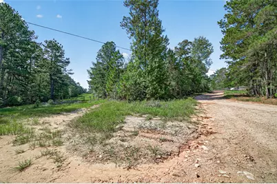 1336 Darrel Hall Drive, Trinity, TX 75862 - Photo 6