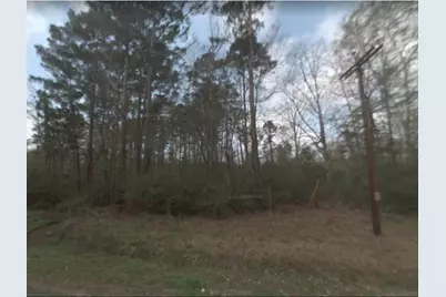 0 Chris Brent Drive, Livingston, TX 77351 - Photo 2