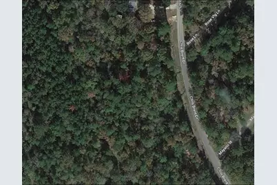 0 Chris Brent Drive, Livingston, TX 77351 - Photo 4