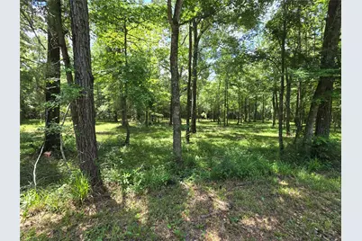 00 Tbd Hwy 150 W, Coldspring, TX 77331 - Photo 14