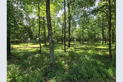 00 Tbd Hwy 150 W, Coldspring, TX 77331 - Photo 1