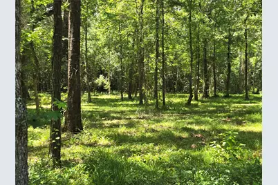 00 Tbd Hwy 150 W, Coldspring, TX 77331 - Photo 8