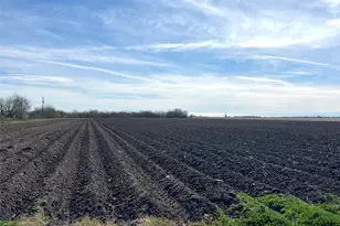 00 Fm-961, El Campo, TX 77437 - Photo 6