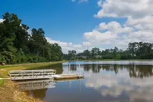 1354 Knollbridge Pt Ln, Pinehurst, TX 77362 - Photo 46
