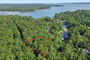 20 Lower Cove Dr, Point Blank, TX 77364 - Photo 1