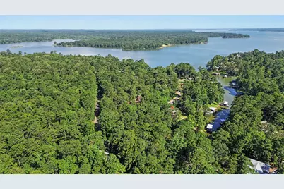20 Lower Cove Drive, Point Blank, TX 77364 - Photo 14