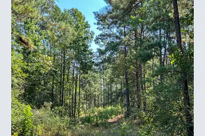 T-6 Fm 256, Woodville, TX 75979 - Photo 8