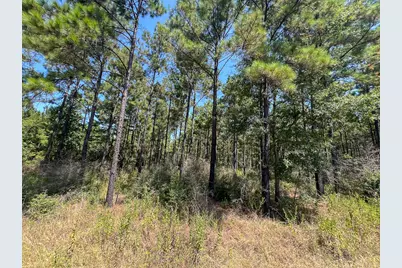 T-6 Fm 256, Woodville, TX 75979 - Photo 18