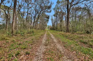 21948 Stillwater Blvd, Montgomery, TX 77316 - Photo 12