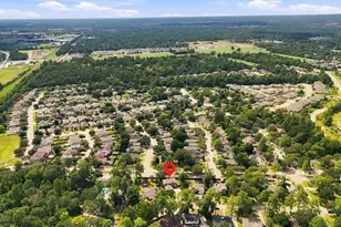 22907 Squirrel Tree St, Spring, TX 77389 - Photo 46