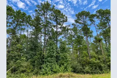 37 Highway 94 Road, Groveton, TX 75845 - Photo 14