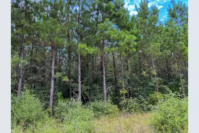37 Highway 94 Road, Groveton, TX 75845 - Photo 8