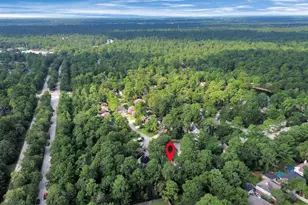 60 Lakeridge Ct, The Woodlands, TX 77381 - Photo 40