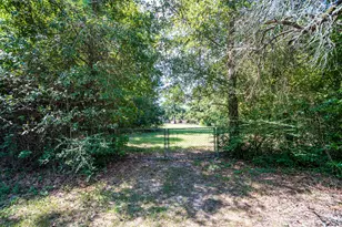 15776 Fm 3083 Rd, Conroe, TX 77302 - Photo 32