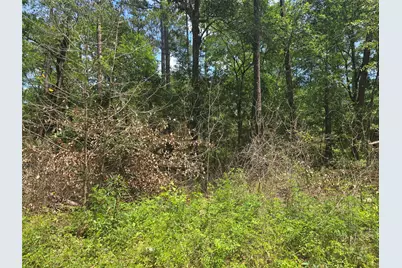 12949 Cedar Tree Court, Plantersville, TX 77363 - Photo 4