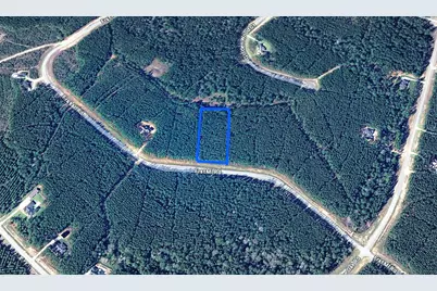 16046 Forest Mill Road, Willis, TX 77378 - Photo 4