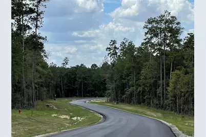 16046 Forest Mill Road, Willis, TX 77378 - Photo 10