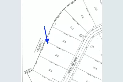 16046 Forest Mill Road, Willis, TX 77378 - Photo 2