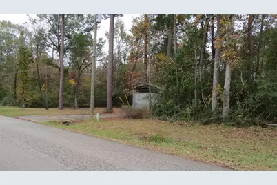 294 & 306 Impala Drive, Onalaska, TX 77360 - Photo 10