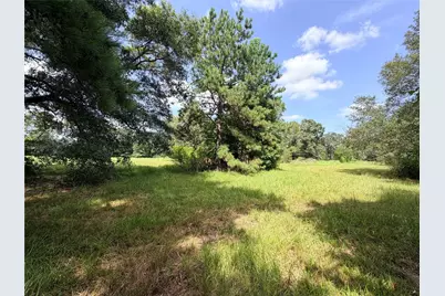1796 County Road 1520, Warren, TX 77664 - Photo 44