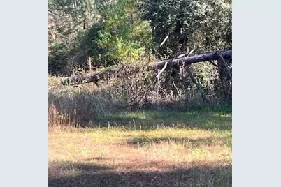 Tbd Clark Road, Plantersville, TX 77363 - Photo 2