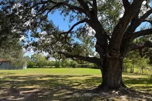 22914 FM 362, Waller, TX 77484 - Photo 6