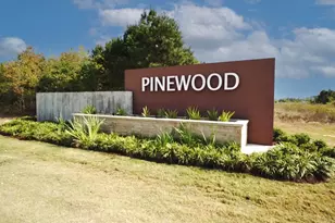 22664 Hackberry Leaf Dr, New Caney, TX 77357 - Photo 22