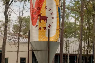 11411 Mandolin Dr, Montgomery, TX 77316 - Photo 12